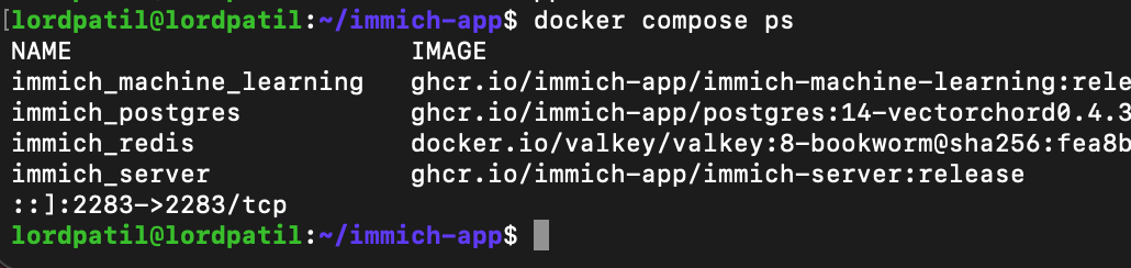 Immich Core Services